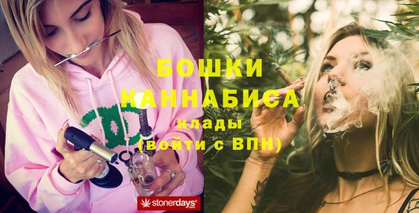 ешки Аркадак