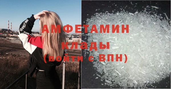 ешки Аркадак
