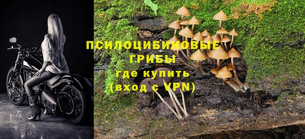 каннабис Арсеньев