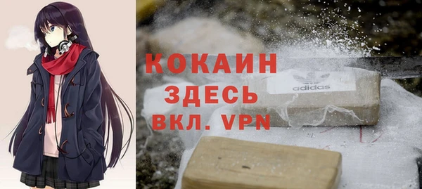 ешки Аркадак